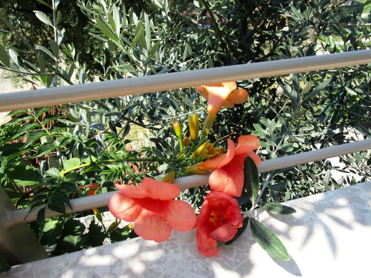 טורי דל בנקו Villa Kiara מראה חיצוני תמונה